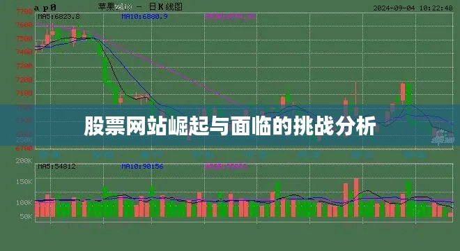 股票網(wǎng)站崛起與面臨的挑戰(zhàn)分析