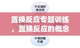 置換反應專題訓練，置換反應的概念和例子 