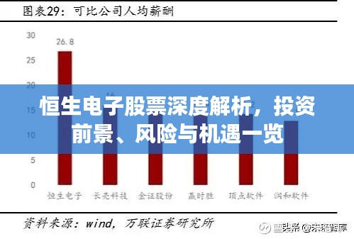 恒生電子股票深度解析，投資前景、風(fēng)險與機遇一覽