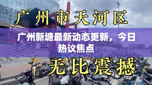 廣州新塘最新動態(tài)更新，今日熱議焦點(diǎn)