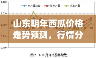 山東明年西瓜價格走勢預測，行情分析與展望