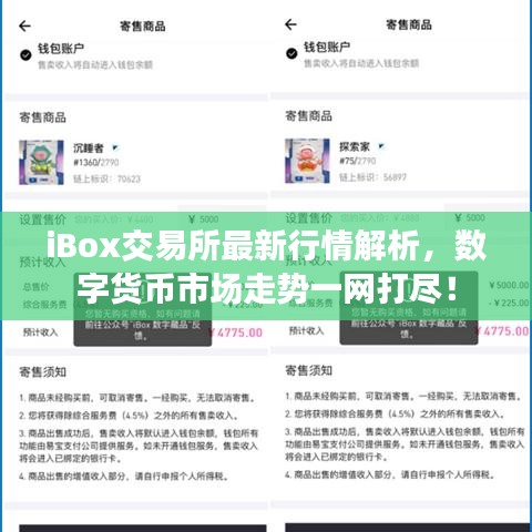 iBox交易所最新行情解析，數(shù)字貨幣市場走勢一網(wǎng)打盡！