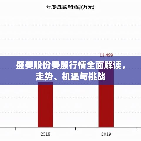 盛美股份美股行情全面解讀，走勢(shì)、機(jī)遇與挑戰(zhàn)