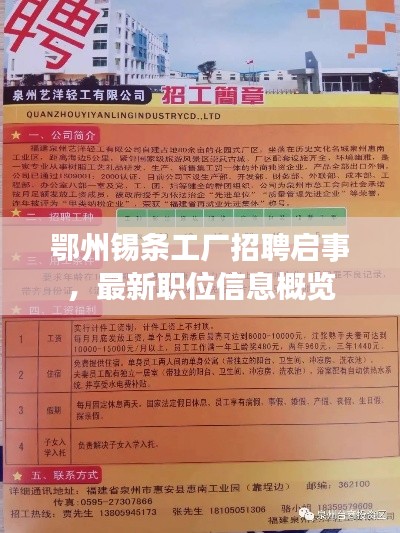 鄂州錫條工廠招聘啟事，最新職位信息概覽