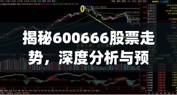 揭秘600666股票走勢，深度分析與預(yù)測