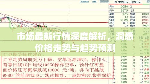 市場最新行情深度解析，洞悉價格走勢與趨勢預(yù)測