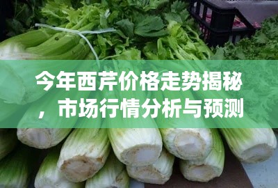 今年西芹價格走勢揭秘，市場行情分析與預(yù)測