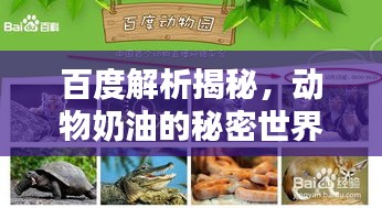 百度解析揭秘，動(dòng)物奶油的秘密世界！