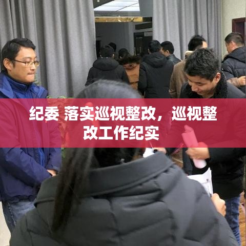 紀委 落實巡視整改，巡視整改工作紀實 