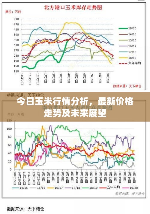 今日玉米行情分析，最新價格走勢及未來展望