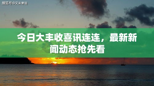 今日大豐收喜訊連連，最新新聞動(dòng)態(tài)搶先看