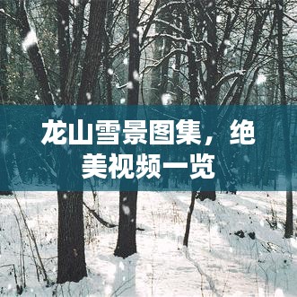 龍山雪景圖集，絕美視頻一覽