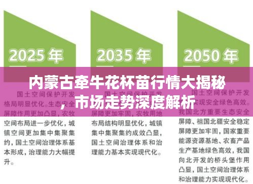 內蒙古牽?；ū缧星榇蠼颐?，市場走勢深度解析