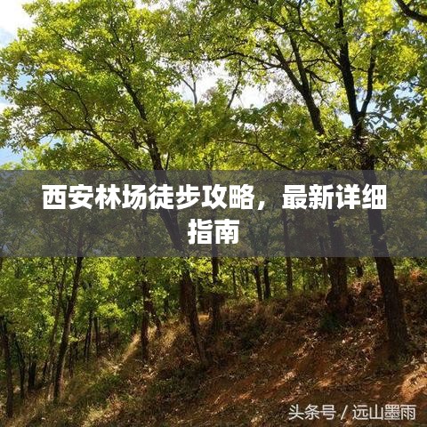 西安林場徒步攻略，最新詳細(xì)指南