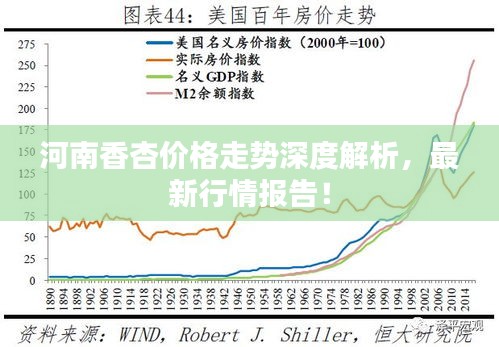 河南香杏價格走勢深度解析，最新行情報告！