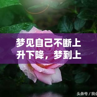 夢(mèng)見(jiàn)自己不斷上升下降，夢(mèng)到上升然后極速下落 