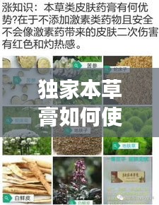 獨(dú)家本草膏如何使用，獨(dú)家本草膏有副作用嗎 