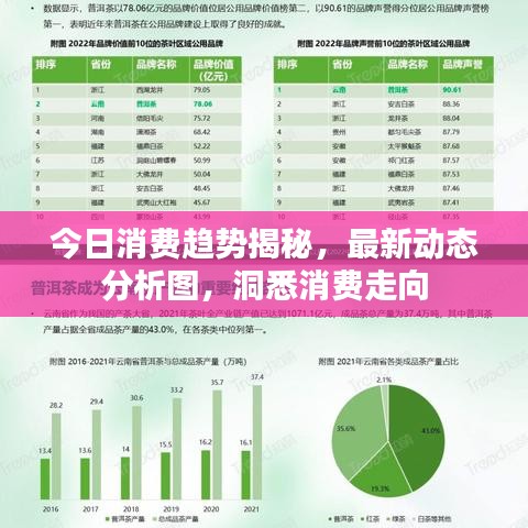 今日消費趨勢揭秘，最新動態(tài)分析圖，洞悉消費走向