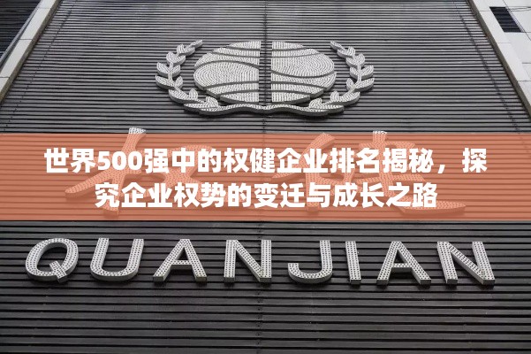 世界500強中的權(quán)健企業(yè)排名揭秘，探究企業(yè)權(quán)勢的變遷與成長之路