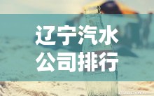 遼寧汽水公司排行榜揭曉，誰領(lǐng)風(fēng)騷？