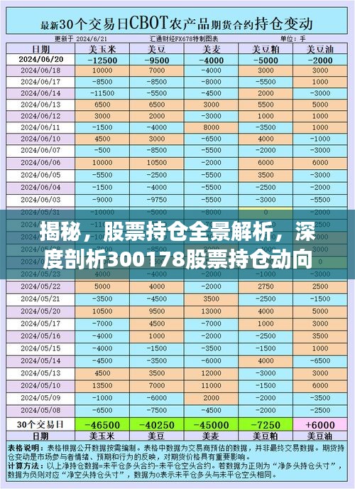 揭秘，股票持倉全景解析，深度剖析300178股票持倉動向