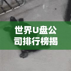 世界U盤公司排行榜揭曉，行業(yè)巨頭一覽無余！