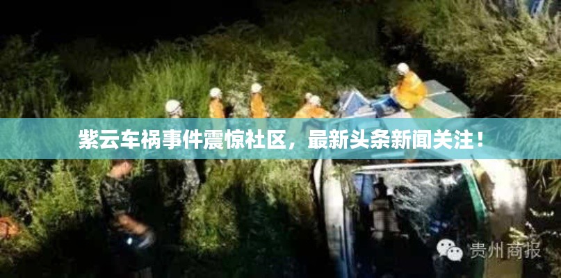 紫云車(chē)禍?zhǔn)录痼@社區(qū)，最新頭條新聞關(guān)注！
