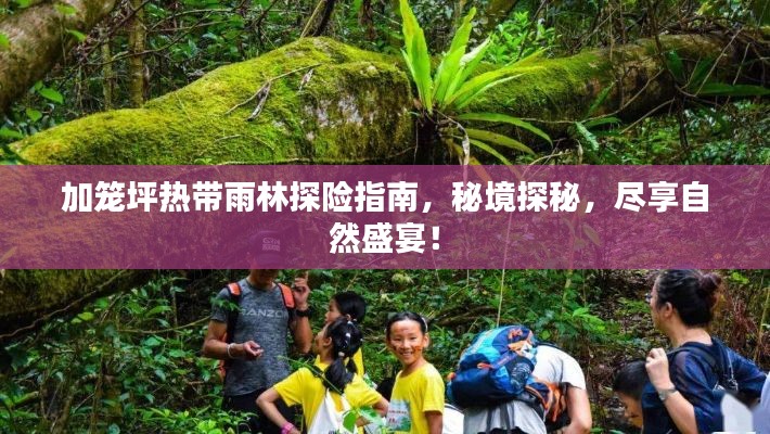 加籠坪熱帶雨林探險指南，秘境探秘，盡享自然盛宴！