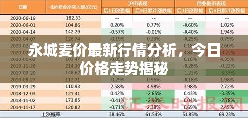 永城麥價最新行情分析，今日價格走勢揭秘