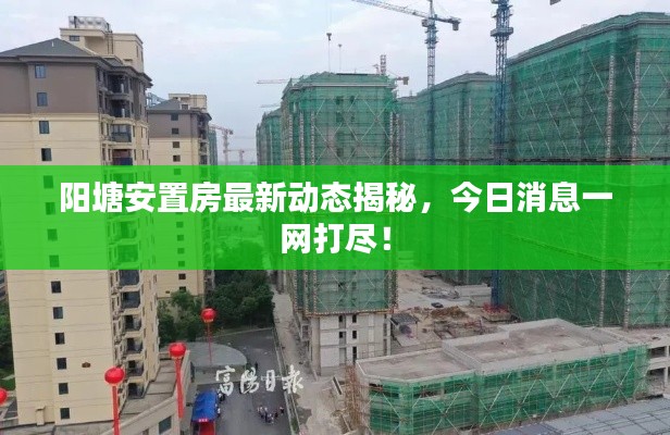陽塘安置房最新動(dòng)態(tài)揭秘，今日消息一網(wǎng)打盡！