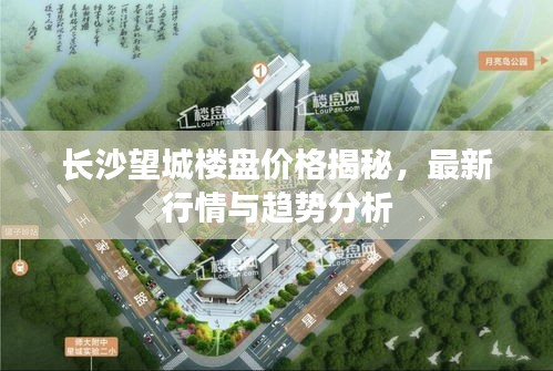 長沙望城樓盤價格揭秘，最新行情與趨勢分析