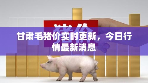甘肅毛豬價實時更新，今日行情最新消息