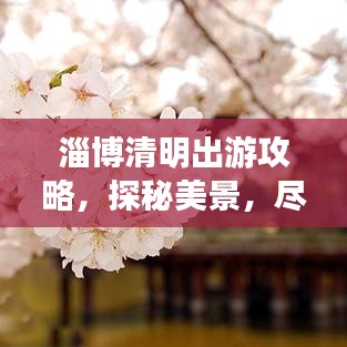 淄博清明出游攻略，探秘美景，盡享文化盛宴！
