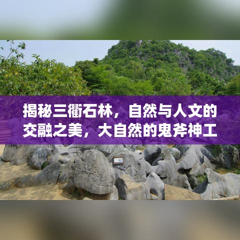 揭秘三衢石林，自然與人文的交融之美，大自然的鬼斧神工欣賞