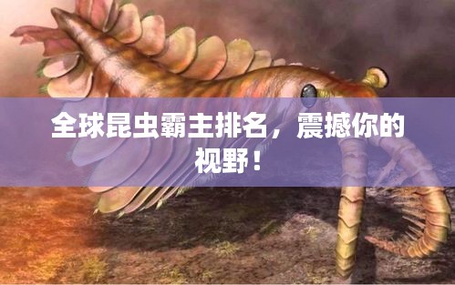 全球昆蟲霸主排名，震撼你的視野！