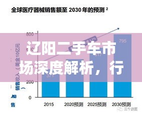 遼陽二手車市場深度解析，行情、趨勢與前景展望