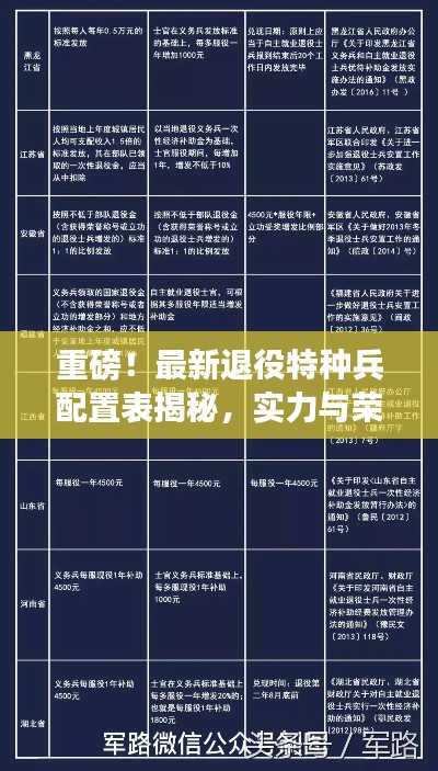 重磅！最新退役特種兵配置表揭秘，實力與榮耀并存