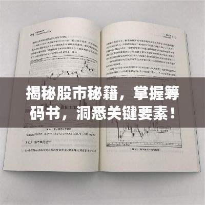 揭秘股市秘籍，掌握籌碼書，洞悉關(guān)鍵要素！
