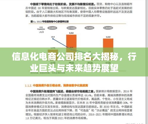 信息化電商公司排名大揭秘，行業(yè)巨頭與未來趨勢(shì)展望